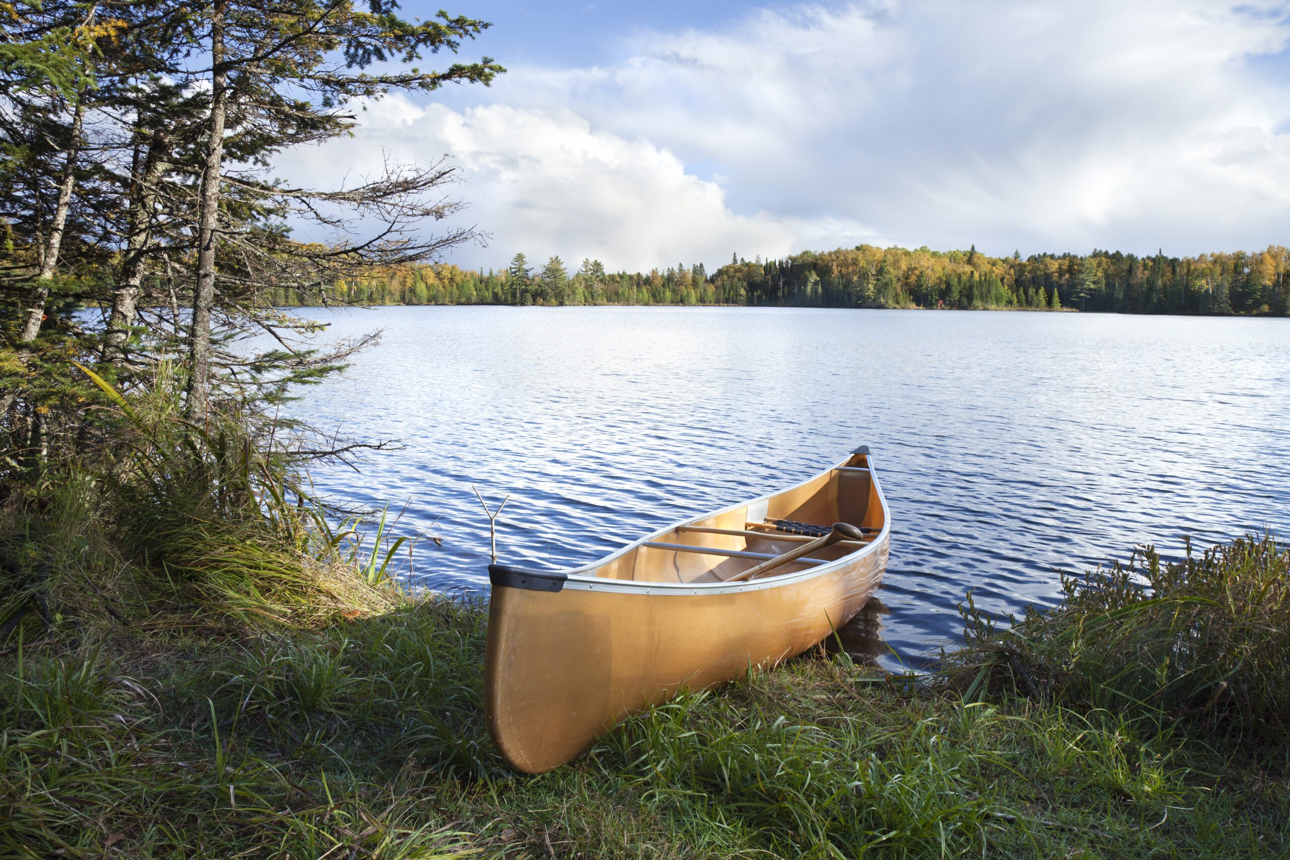 Finger Lake Wilderness Resort